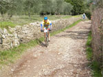 gal/2010/03 - La Via delle Miniere 2010/Al podere Quato/_thb_DSCF0737-01.jpg